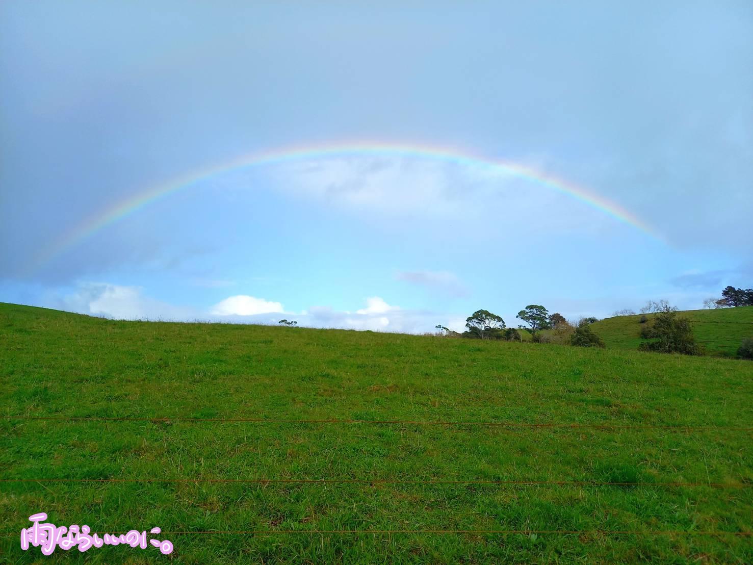 オークランドの虹(MiU撮影)