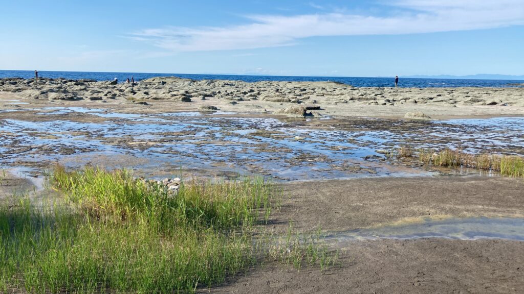 千畳敷海岸