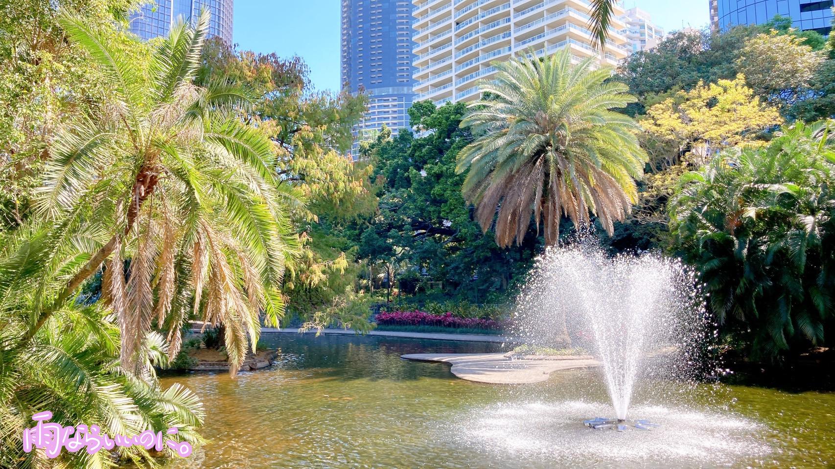 ブリスベンシティー植物園の噴水とビル群(MiU撮影)