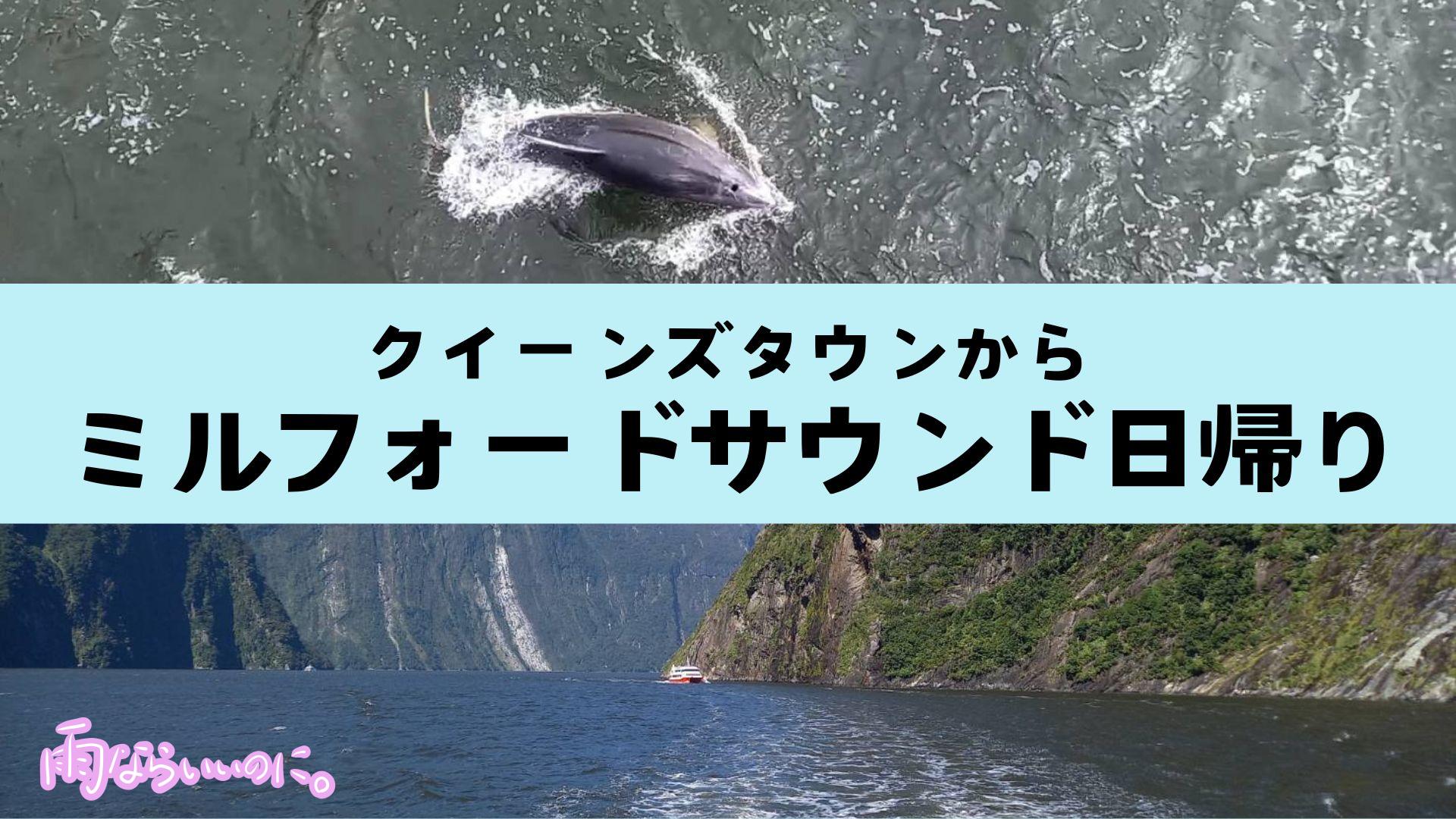 クイーンズタウンからミルフォードサウンド日帰り