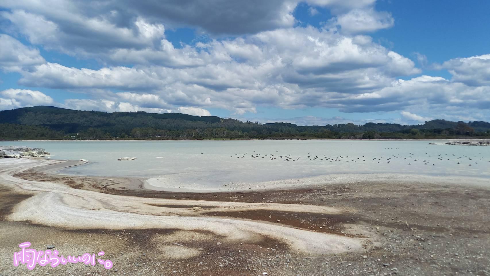 ロトルア(MiU撮影)