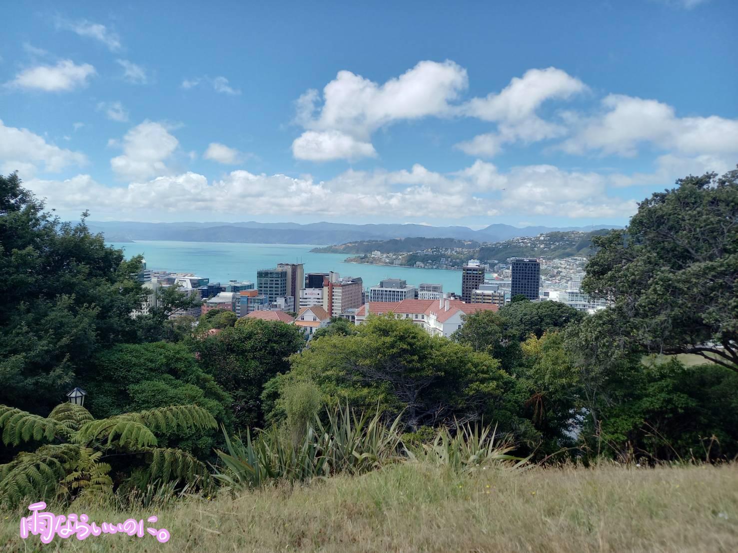 ウェリントンのケルバーン展望台からの景色(MiU撮影)