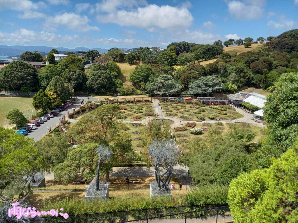 上から見たウェリントン植物園のバラ園