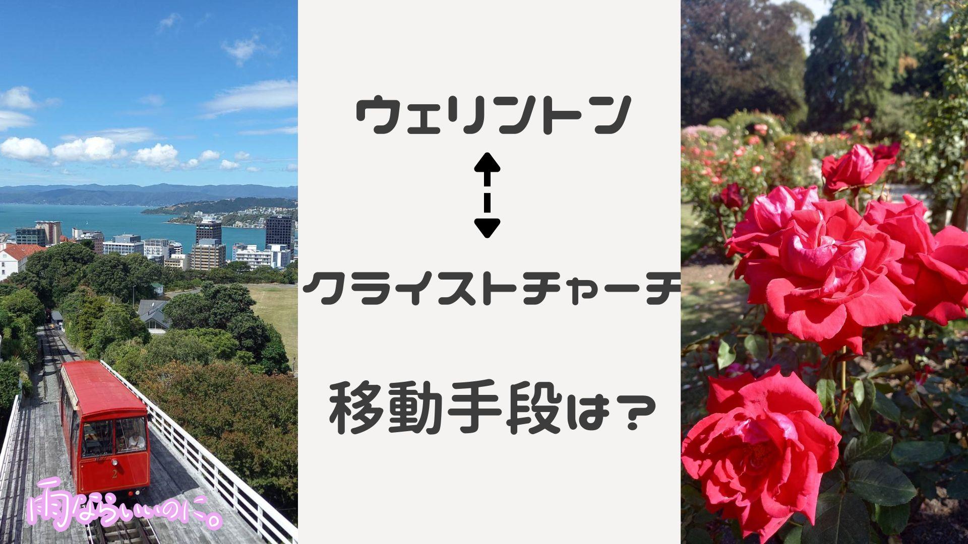 ウェリントンとクライストチャーチ移動のイメージ(MiU作成)