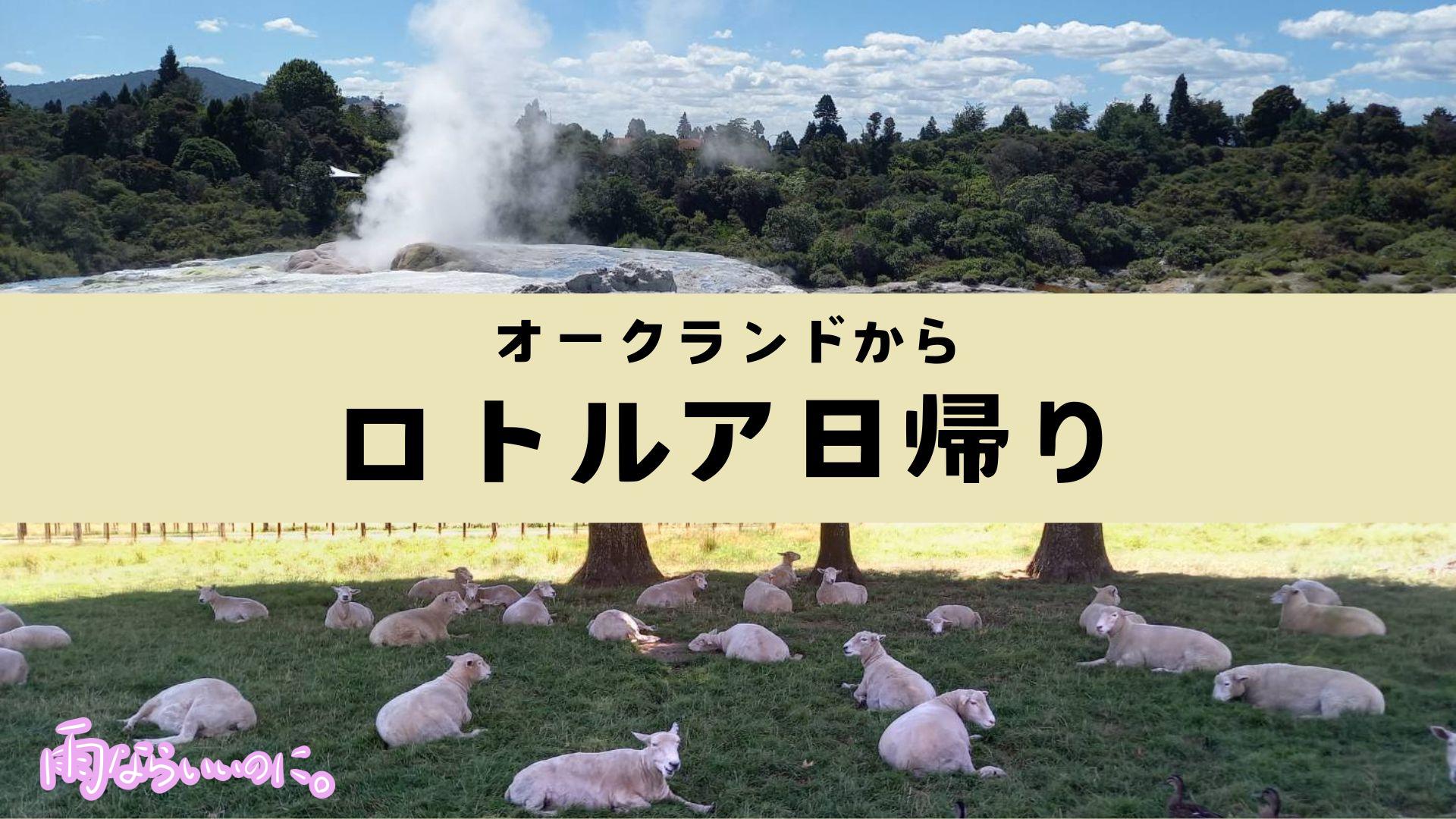 オークランドからロトルア日帰り(MiU作成)