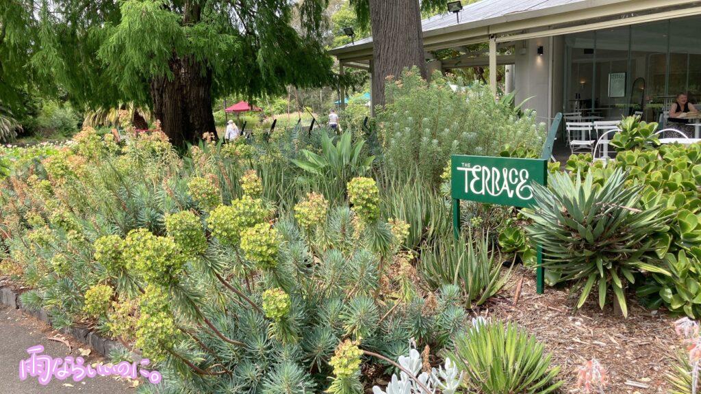 メルボルン王立植物園のカフェ「ザ・テラス」（MiU撮影）