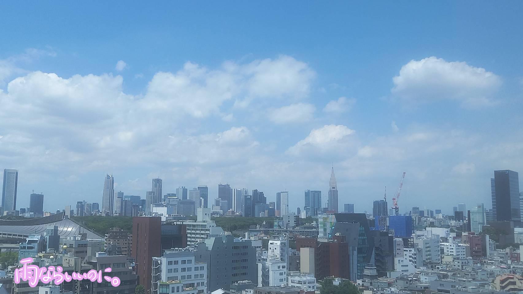 新宿のビル群(MiU撮影)