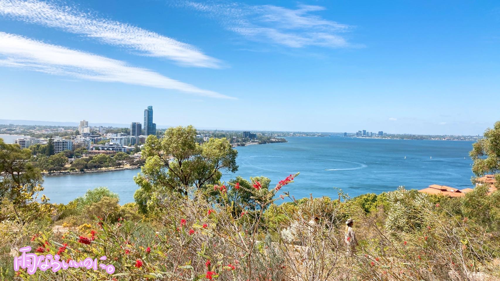 キングスパーク・ボタニックガーデンからの眺望(MiU撮影)