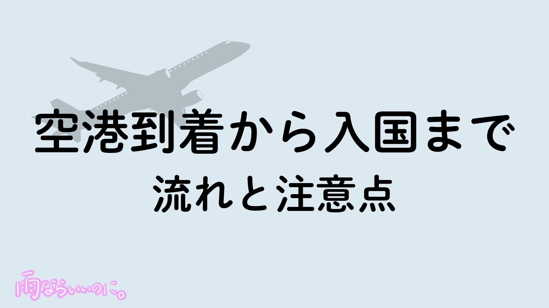 空港到着から入国までイメージ(MiU作成)