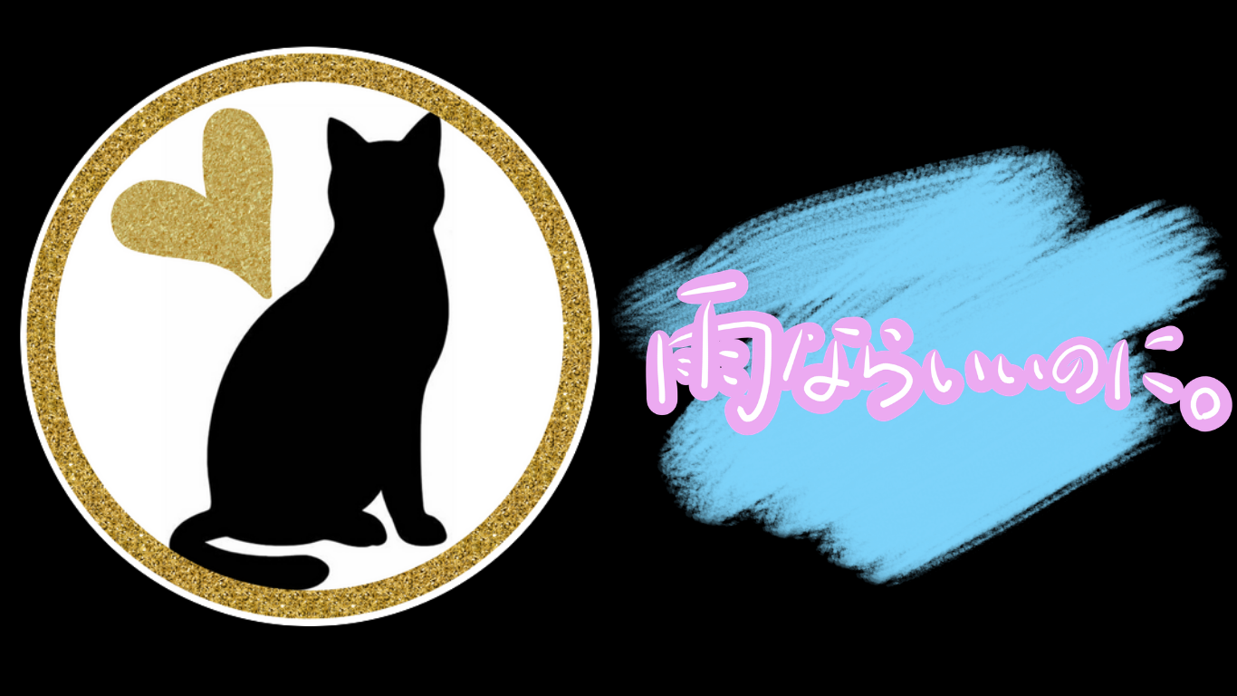 「雨ならいいのに。」プロフィール画像